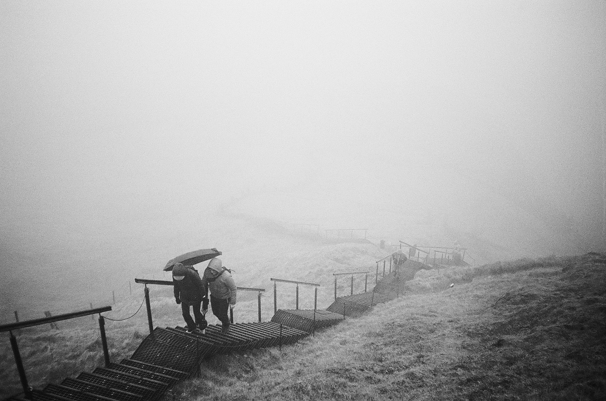 Black and white photo 6