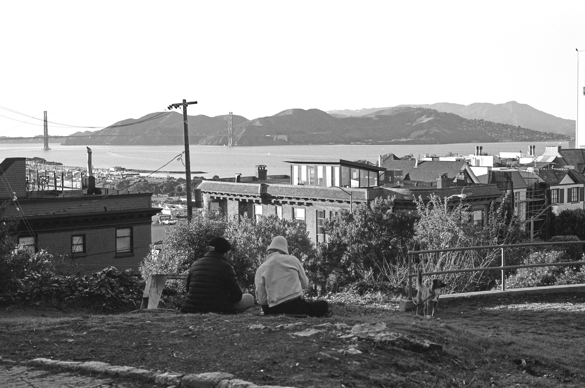 Black and white photo 7