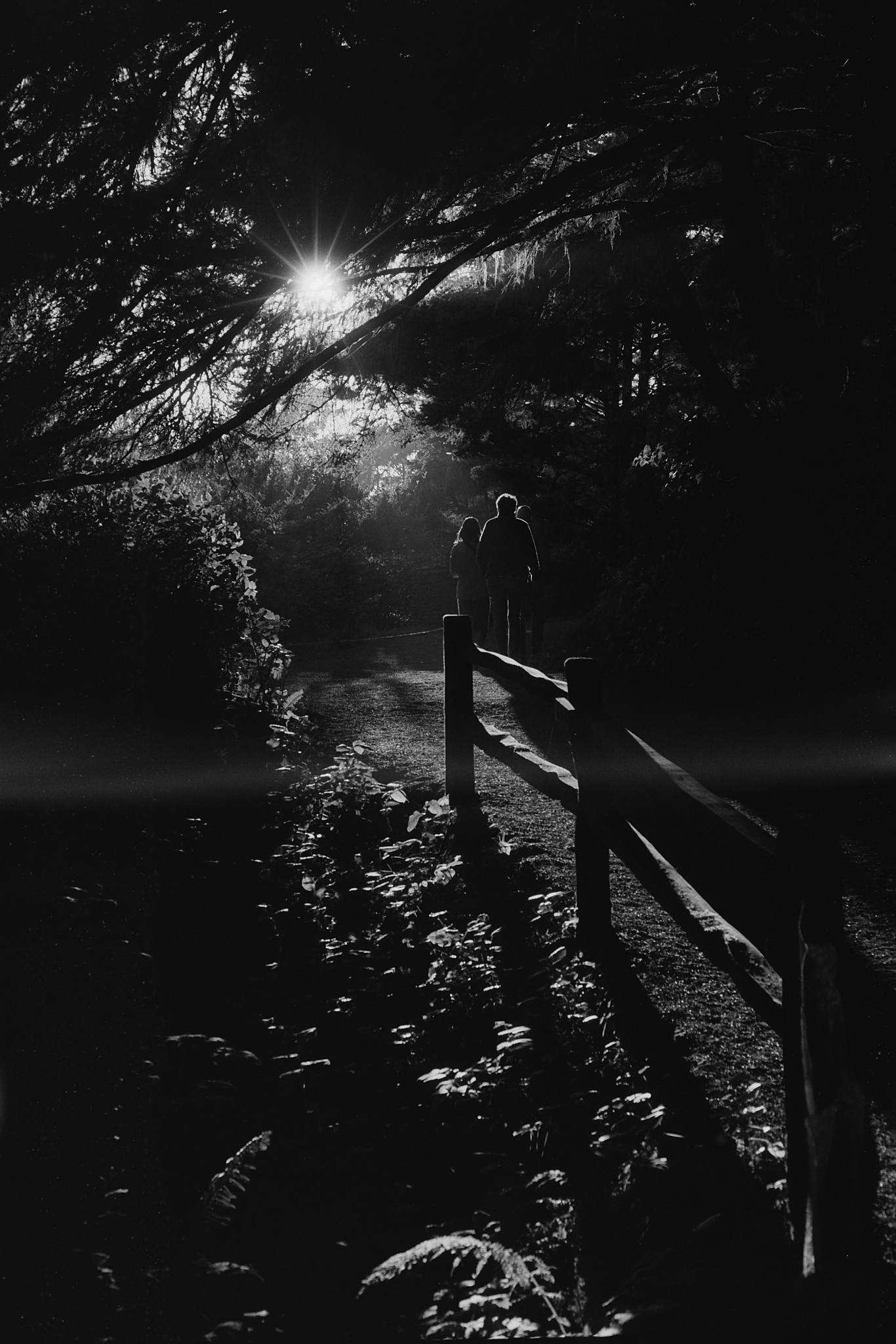 Black and white photo 13